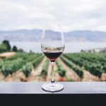 le gigondas : cépages et caractéristiques de ce cru du sud