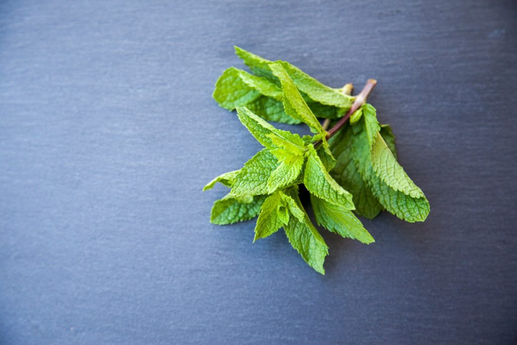 liqueur de menthe : usage et processus de fabrication