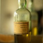 tout savoir sur la chartreuse : histoire et dégustation