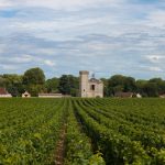 les crus de Bourgogne : un voyage au cœur de la région