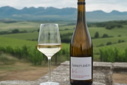 Quel vin avec lotte : les blancs iodés et expressifs à favoriser