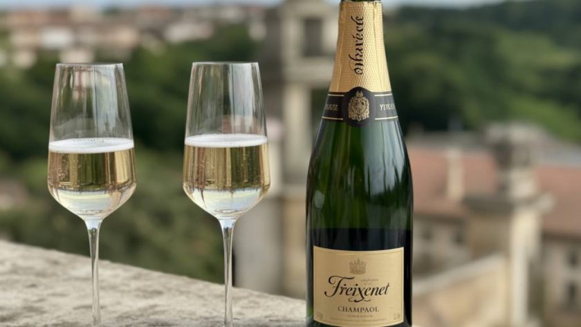 Freixenet champagne : que penser de ce mousseux espagnol à succès