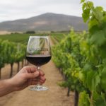 Azpilicueta vin : analyse organoleptique et fiche domaine du Rioja