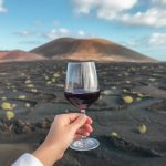 Lanzarote vin : vins de volcans, une expérience gustative étonnante
