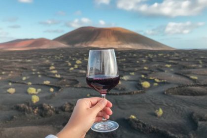 Lanzarote vin : vins de volcans, une expérience gustative étonnante