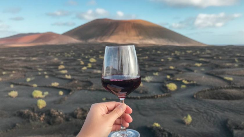 Lanzarote vin : vins de volcans, une expérience gustative étonnante