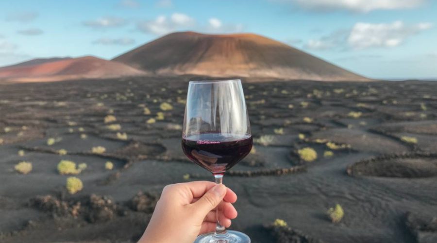 Lanzarote vin : vins de volcans, une expérience gustative étonnante