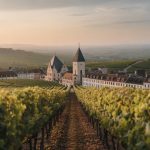 Beaune premier cru : analyse des terroirs et des millésimes à découvrir