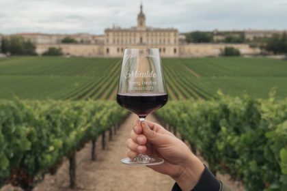 Meilleure année vin rouge Bordeaux : quelles millésimes privilégier selon moi