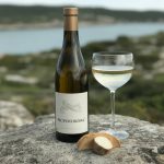 Picpoul blanc : redécouvrir ce cépage languedocien frais et iodé