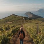 Visite œnologique en Corse : entre vins insulaires, paysages sauvages et patrimoine viticole