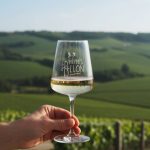 Quel vin avec des huitres de Belon ? mes recommandations précises de blancs, bulles et vins de terroir