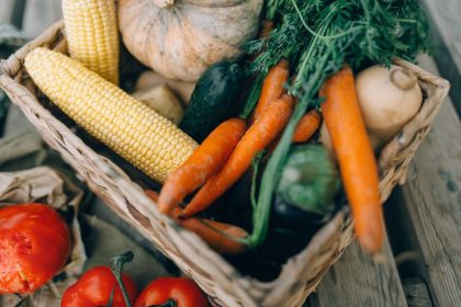 Du champ à l’assiette : optimiser sa livraison de paniers de légumes et fruits à lyon et villeurbanne